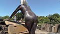 Bev_Catsuit_14